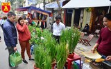 Lúa trổ đòng đắt khách ở chợ hoa Hàng Lược